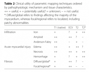 表3　 各疾患における各parametric mapping techniquesの重要性　　 文献[1] より引用